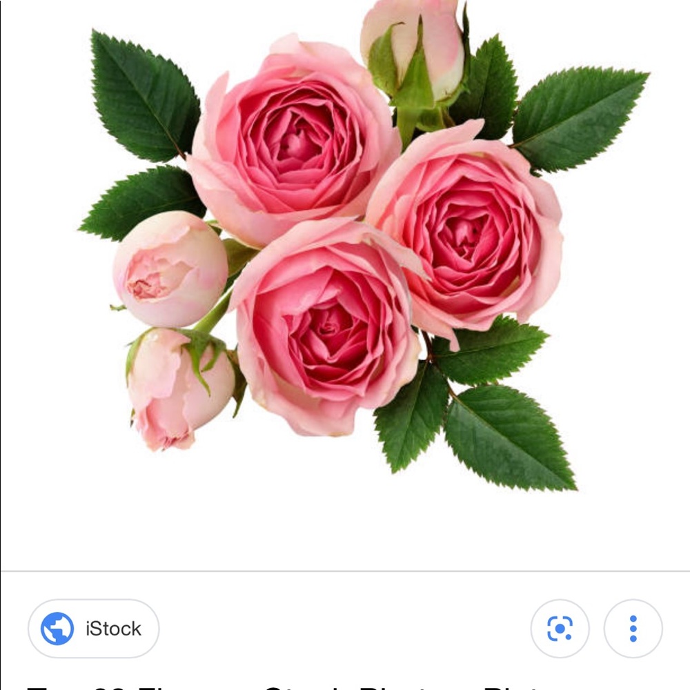 Meet your Posher, Shauna